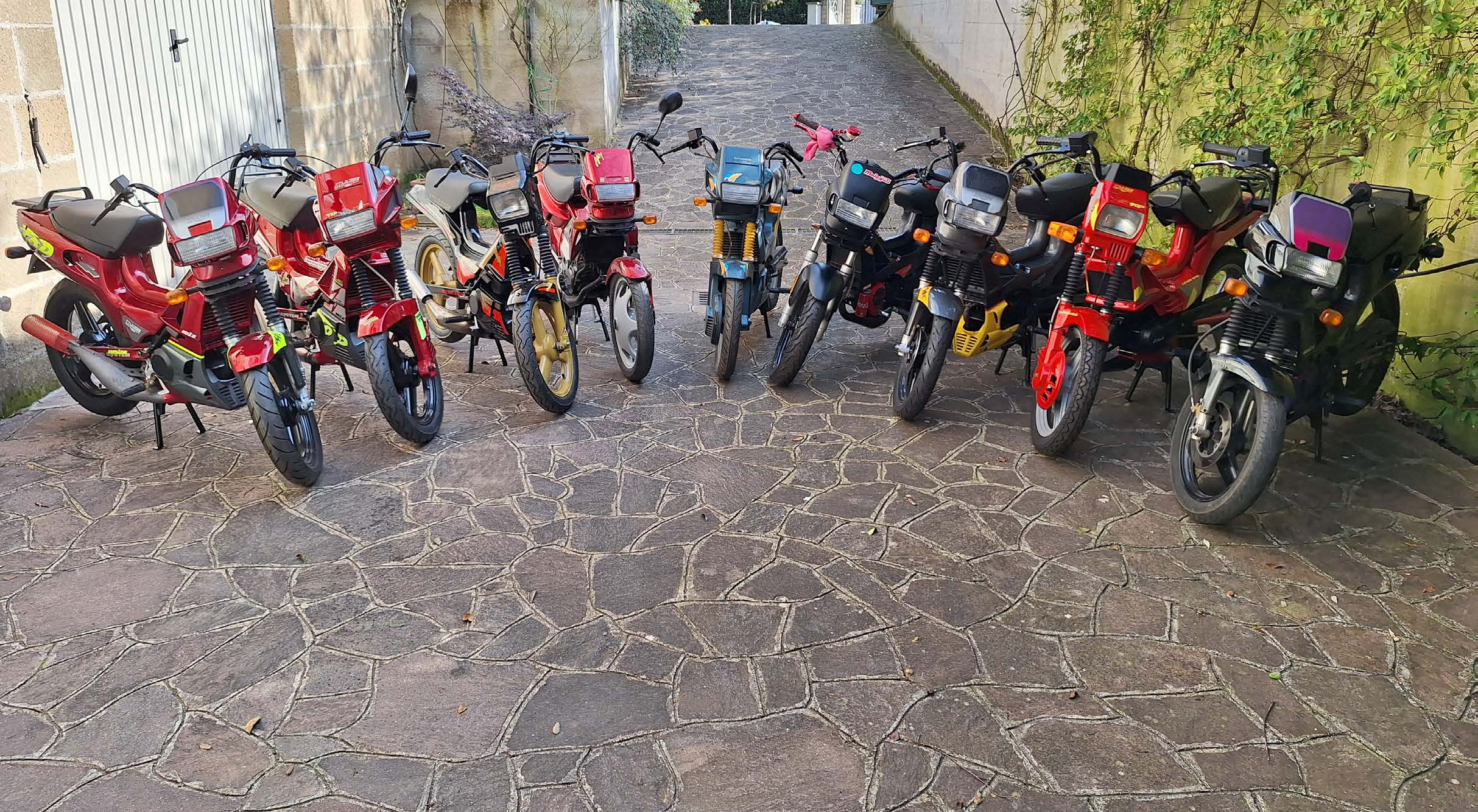 Una parte della collezione privata di Matteo, composta da Fifty appartenenti a diverse generazioni.